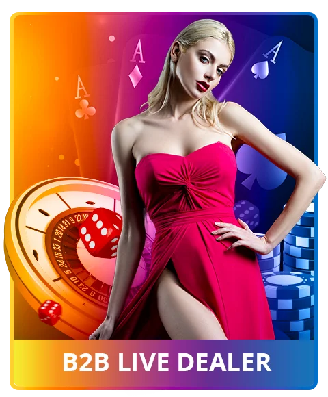 B2B Gaming Product