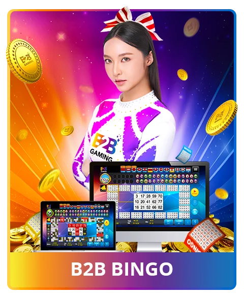 B2B Gaming Product
